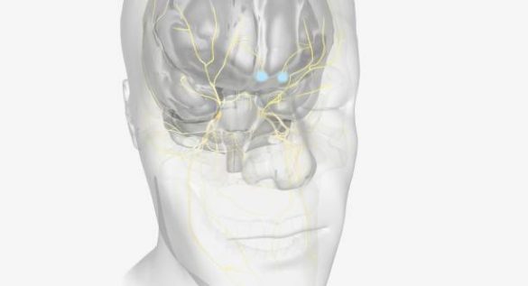 Stellate Ganglion Block Therapy