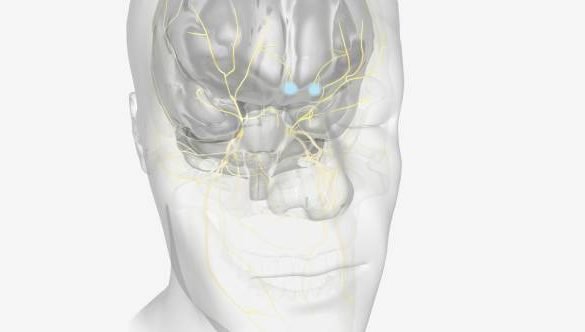 Understanding Stellate Ganglion Block Therapy