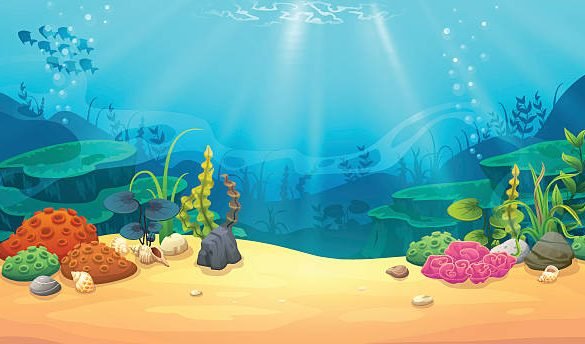 Dive into the Aquatic Paradise: Unveiling the Captivating Allure of Aquariums
