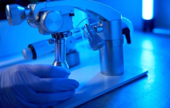 Unlocking Possibilities: A Comprehensive Exploration of Embryo Freezing