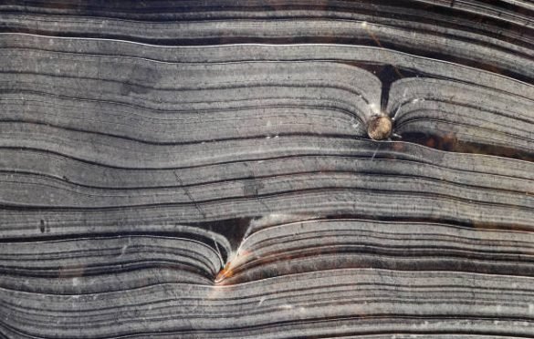 Exploring the Revolutionary Advancements of Flexible Stone Veneer