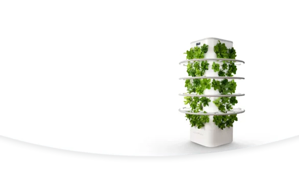 Aeroponic Tower: Revolutionizing Modern Gardening